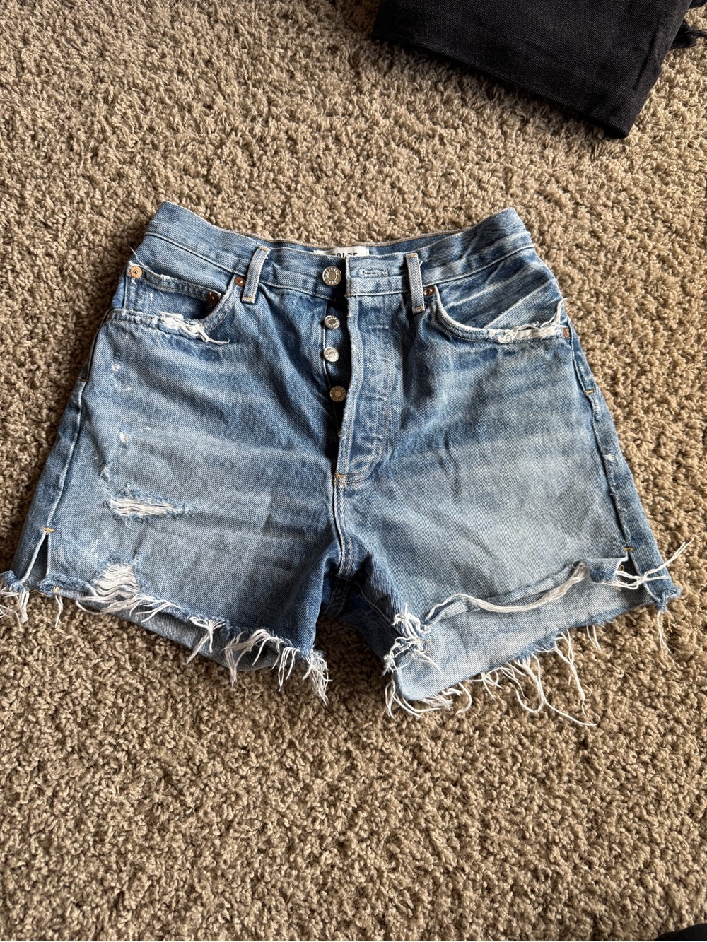 AGOLDE Vintage Cut off Short
